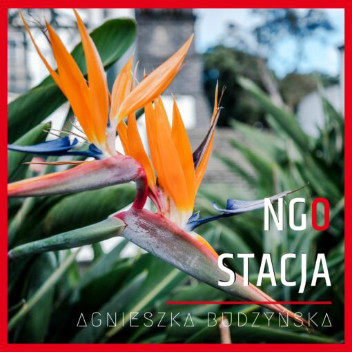 Okładka 107 odcinka podcastu