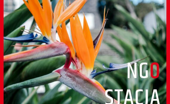 Okładka 107 odcinka podcastu