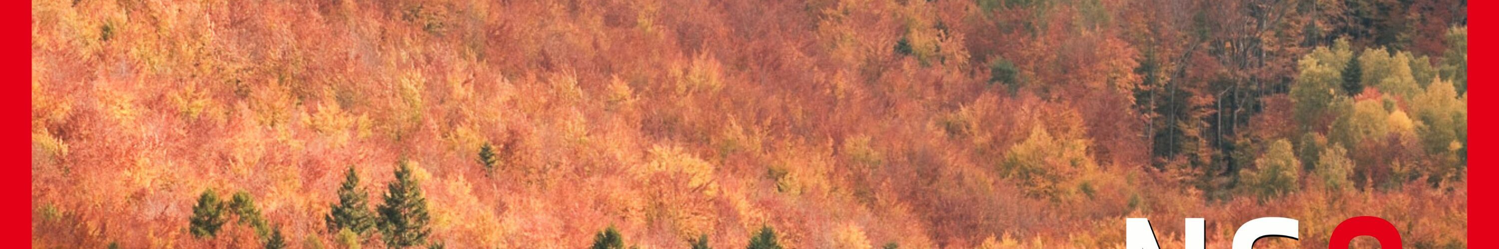 Okładka 108 odcinka podcastu