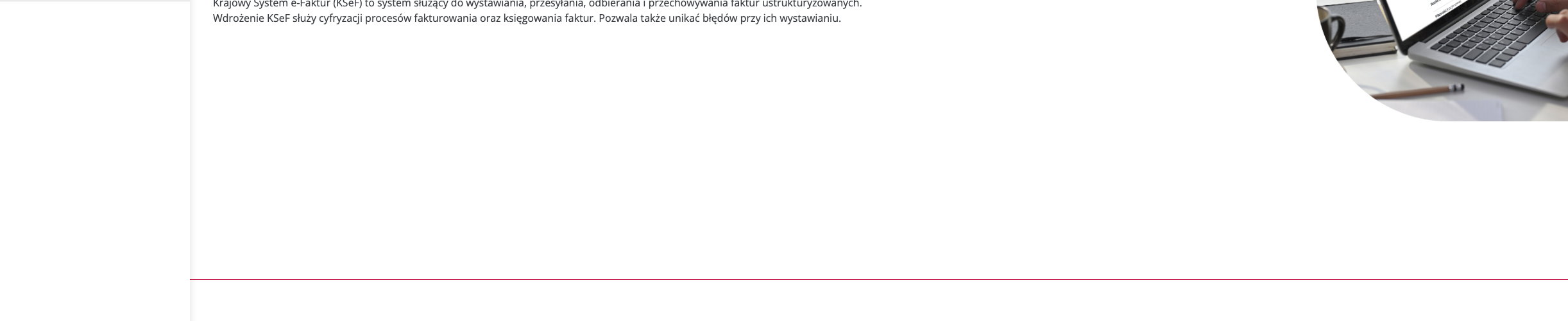 Widok KSEF po zalogowaniu się do systemu