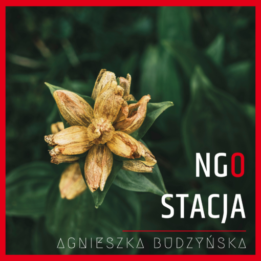 Okładka 117 odcinka podcastu