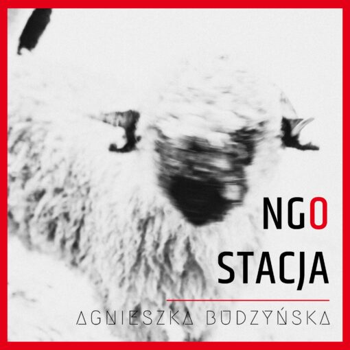 Okładka 119 odcinka podcastu NGO Stacja